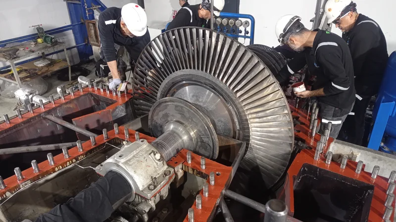 Emergency Support Services